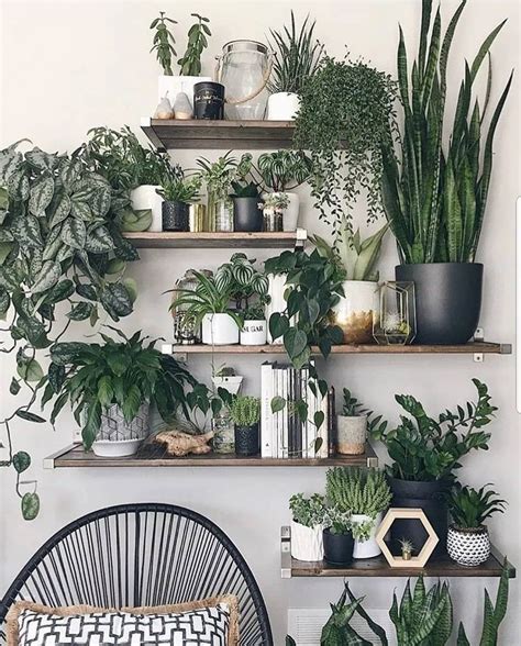 Ikea Plant Shelves Melissamlo Комнатные растения декор Настенные