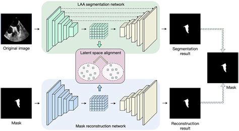 Frontiers Adversarial Based Latent Space Alignment Network For Left