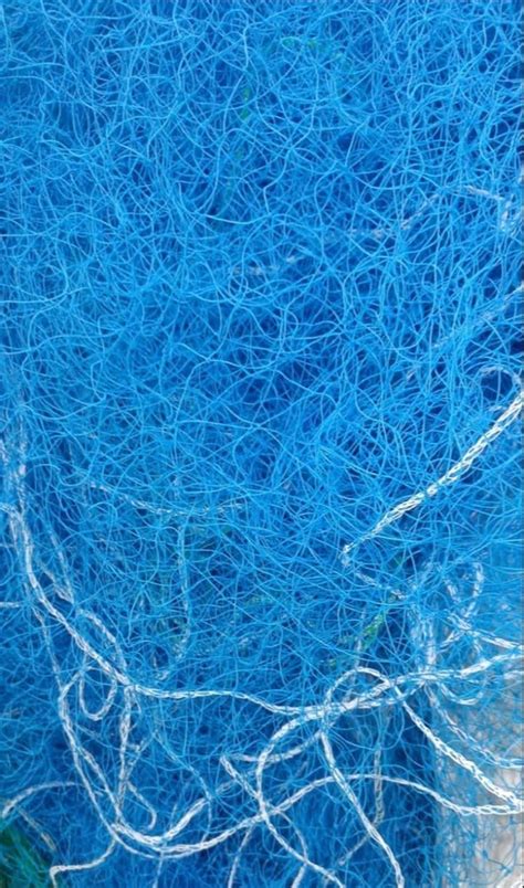 Blue HDPE Fishing Net At Rs 15 Sq Ft HDPE Net In Meerut ID