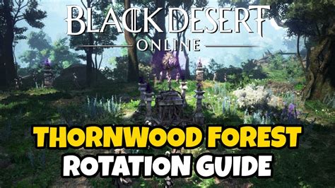 Thornwood Forest Rotation Guide Black Desert Online Youtube