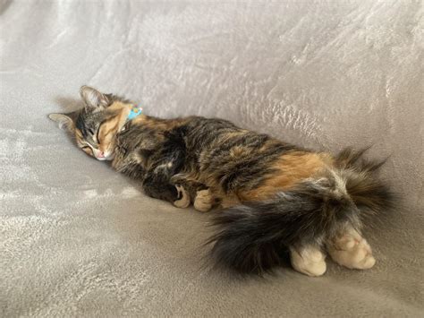 Inside the st jakob-park design flaw that fans never noticed 7