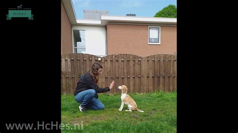 High Five Youtube