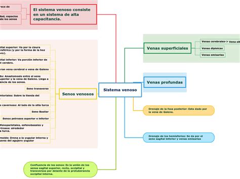 Sistema Venoso Mapa Mental Amostra Images And Photos Finder