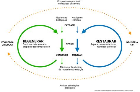 Centro De Innovaci N Y Econom A Circular Ciec