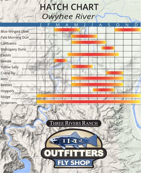 Owyhee River Fly Fishing Eastern Oregon's top rivers