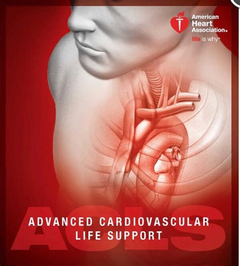 AHA ACLS Renewal Premier Choice CPR