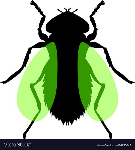 Fly Insect Royalty Free Vector Image Vectorstock