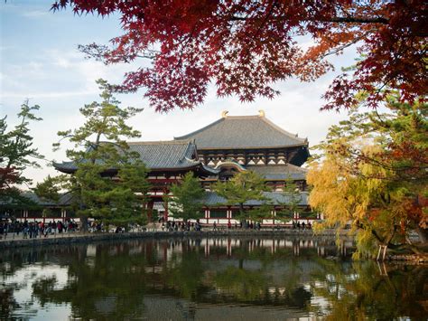 奈良公園：世界遺産が点在する古都の秋景