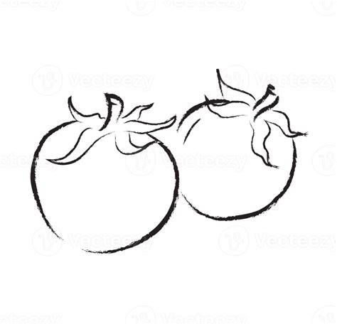 Tomato Hand Drawing Illustration 12375463 Png