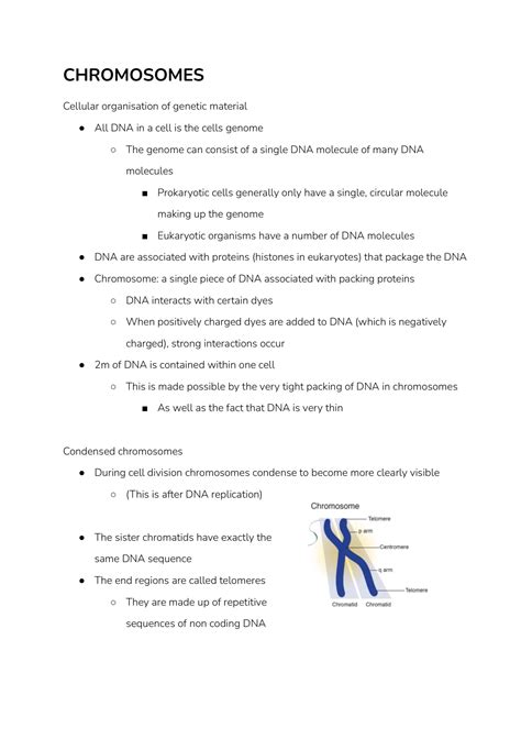 Biol Block Part Summary Chromosomes Mitosis Meiosis