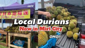 Local Durians Now In Miri City Miri City Sharing