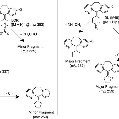 Comparison Of Proposed Ms Ms Fragmentation Pathways Of Lor Left And