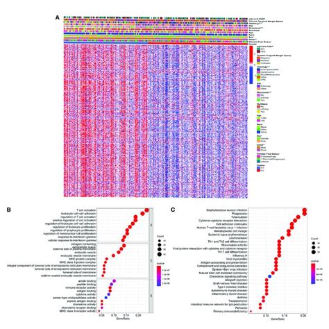 Identification Of Degs Between The Two Clusters A Heatmap Showing Download Scientific