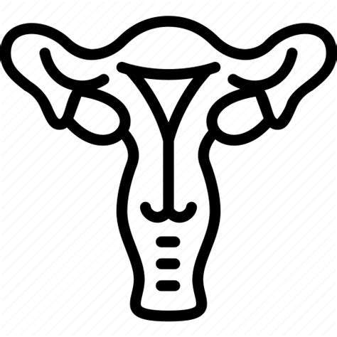 Reproductive Female Cervix Ovarian Gynecology Icon Download On