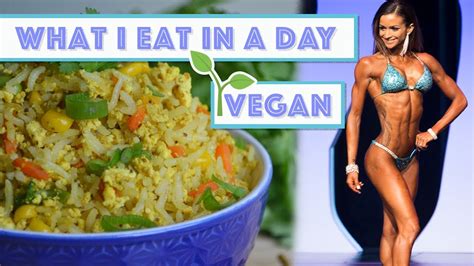 VEGAN BIKINI PREP DIARIES FULL DAY OF EATING EP 2 YouTube