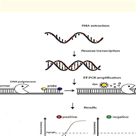 Bioinformatics and computational sequence alignment, variant calling,... | Download Scientific ...