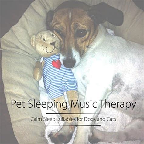 Amazon Music Pet Care Music Therapy Pet Sleeping Music Therapy Calm