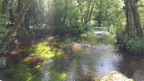 La Sarre Aappma La Gaule Melrandaise