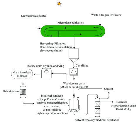 Process Flow Diagram For Biodiesel Production From Microalgae Download Scientific Diagram