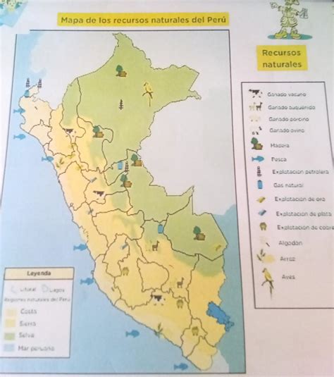 Qu Regiones Naturales Observas En El Mapa Qu Informaci N Nos