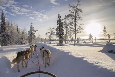 12 Reasons To Visit Finnish Lapland In Winter Travelgeekery