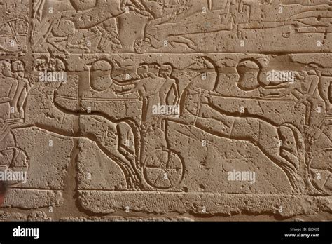 Ancient Egyptian War Chariot Hi Res Stock Photography And Images Alamy