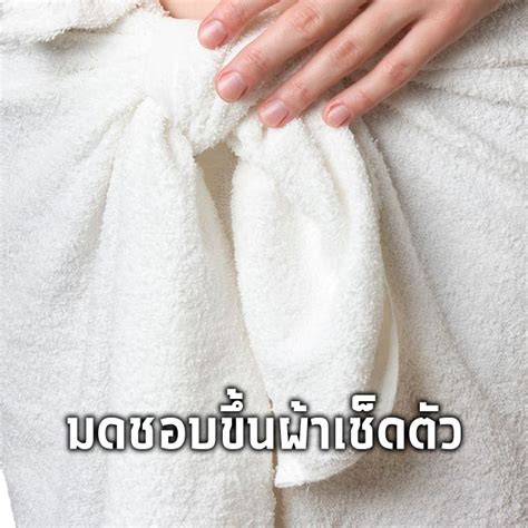 คลังความรู้ By Spokedark ทำไม มดชอบขึ้นผ้าเช็ดตัว มีคำตอบ พร้อมวิธี