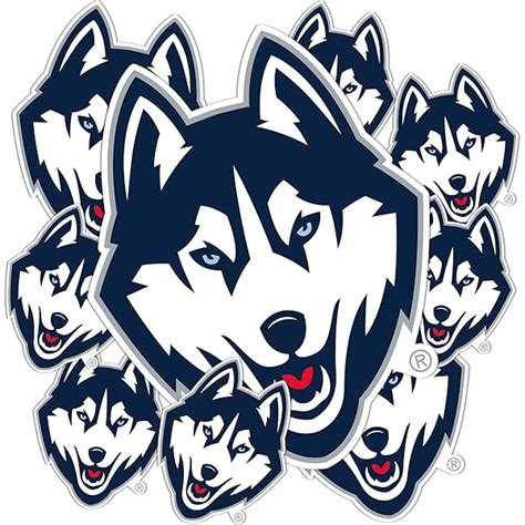 Uconn Huskies Logo And Symbol Meaning History Png Brand Atelier