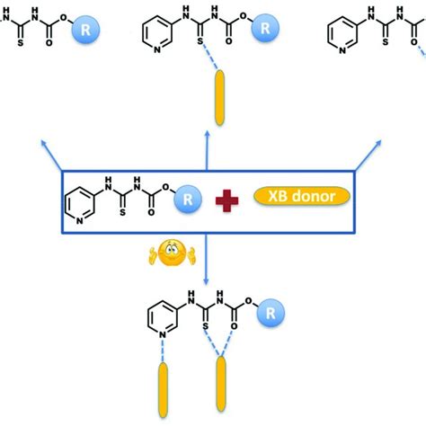 scheme   carbamate moiety  carbamate bearing molecules