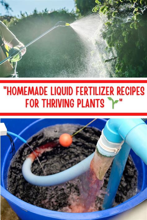 Homemade Liquid Fertilizer Recipes For Thriving Plants How To Make