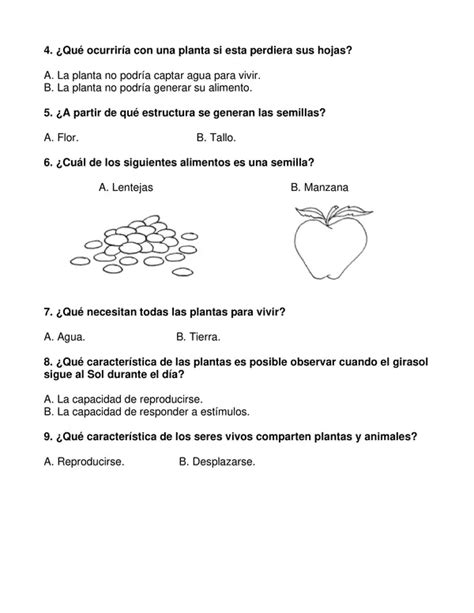 Evaluación Ciencias Las Plantas Primer Año Profe Social