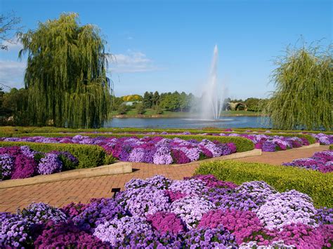 Pictures Of The Most Beautiful Flower Gardens In World | Best Flower Site