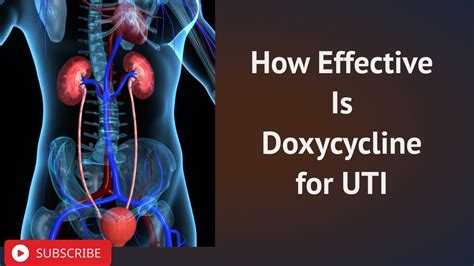 How Effective Is Doxycycline for UTI - YouTube