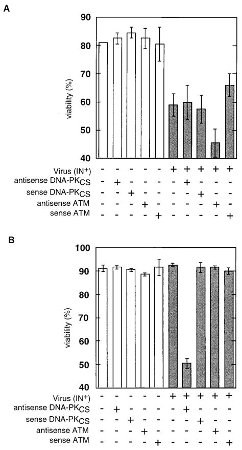 Effect Of Antisense Oligonucleotides On Viability Of Control N2 And