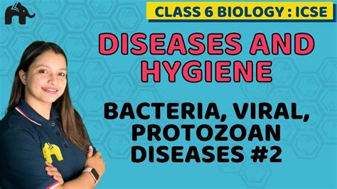 Diseases And Hygiene Class 6 Icse Biology Selina Chapter 7 Bacteria Viral Protozoan Diseases