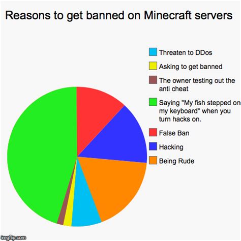 Reasons To Get Banned On Minecraft Servers Imgflip