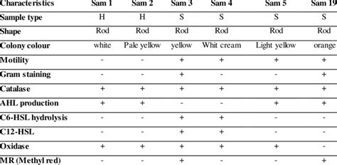 Morphological And Biochemical Characterization Of Bacteria Download