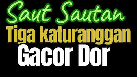 Perkutut Gacor Saut Sautan Youtube