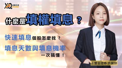 【展妹開講 選股腳本】填息天數與填息機率怎麼算？除權息旺季來臨一次搞懂 內含xq歷年填息機率工具 ｜豐雲學堂 2025 年 01 月