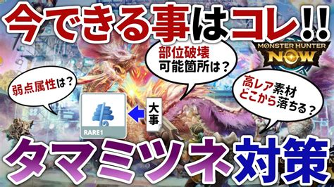 【モンハンnow】タマミツネ実装に向けてミツネちゃん情報を予習＆今できる事を考えていくー！！【モンスターハンターnow】 Youtube