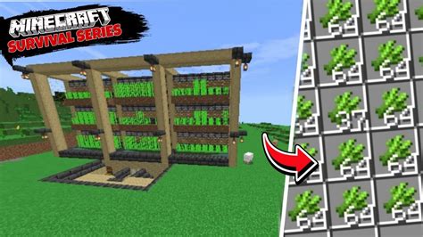 I Built An Insane Automatic Sugar Cane Farm In Minecraft Pocket Edition