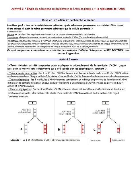 Cours R Plication De L Adn Svt Premiere Activit Tude Du