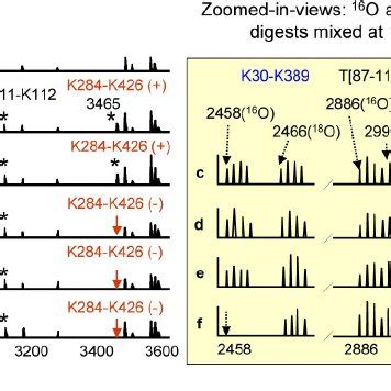 Effects Of Membrane Phospholipids On Interdomain Conformational Changes