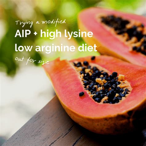 Easy Vegan Foods High In Lysine 2023 Atonce