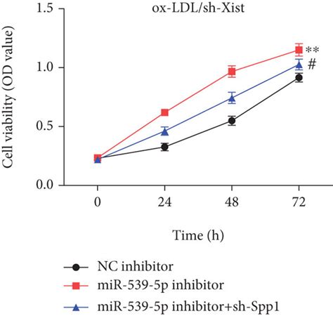 Xist Mir P Spp Axis On The Proliferation Migration And Invasion