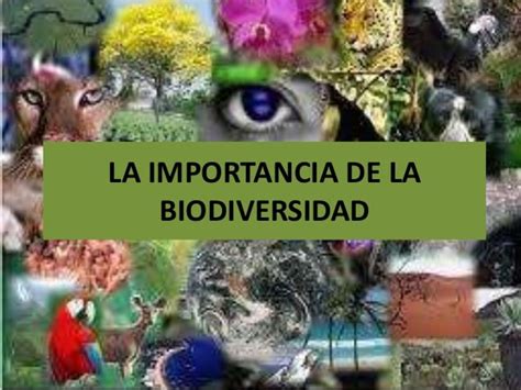 La Relevancia De La Biodiversidad Especies Endemicas De Mexico