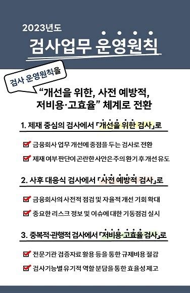 금감원 금융사 내부통제 리스크 관리 집중 검사