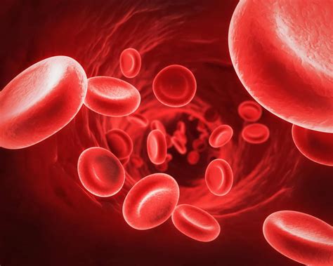 Polycythemia Vera Causes Symptoms Cancer Diagnosis Treatment