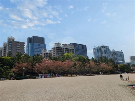 Odaiba Beach & Seaside Park Guide