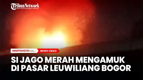 Si Jago Merah Mengamuk Di Pasar Leuwiliang Bogor Youtube